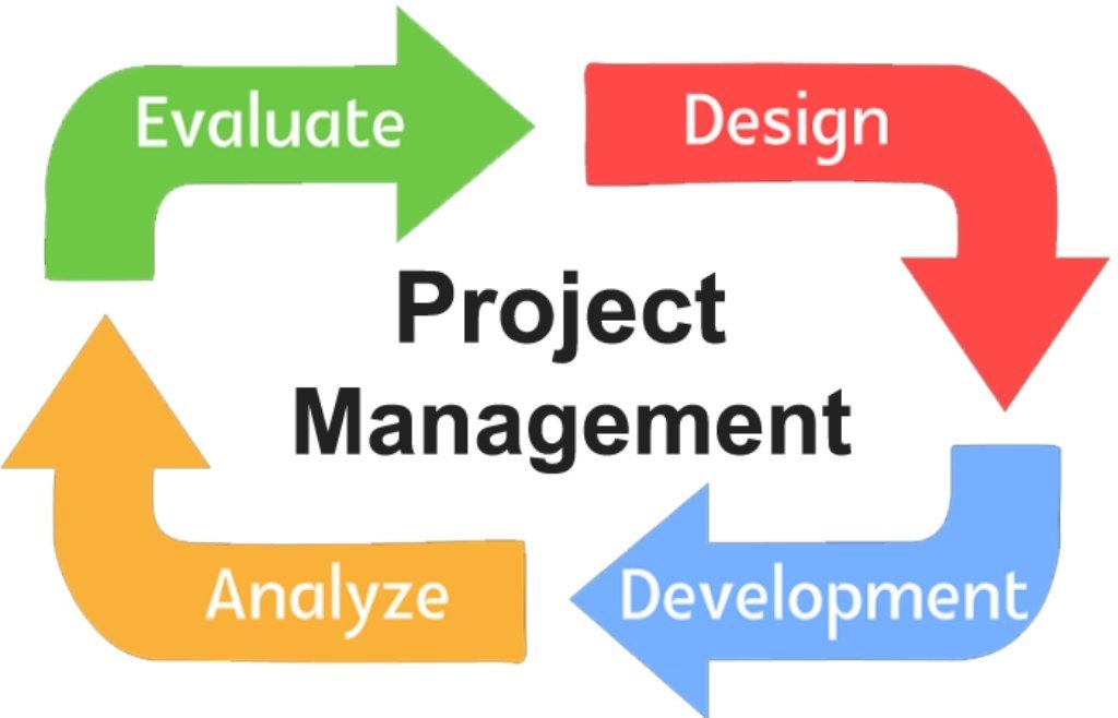 Project Management Advisory Services